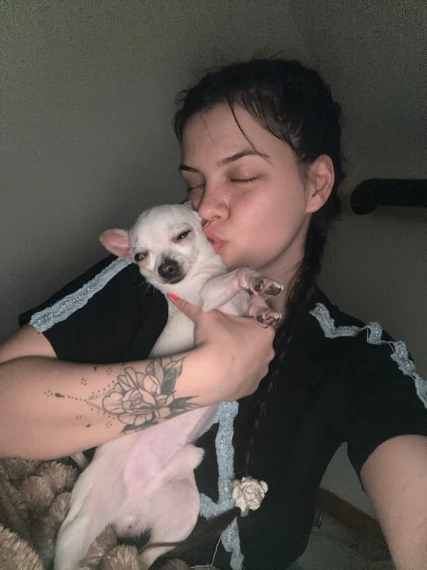 Woman and Chihuahua share quiet moment in Bulgarian bedroom