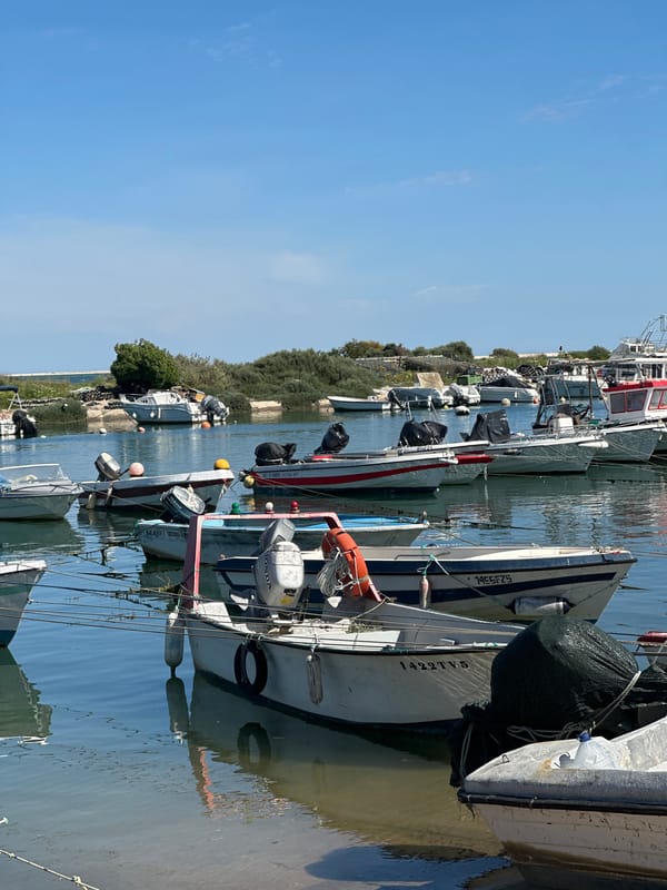 Fishing boats documented at Olhão harbor, Portugal