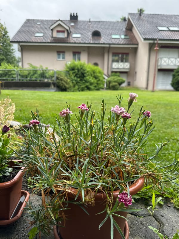 Man documents garden with selfies, plant photos in Switzerland