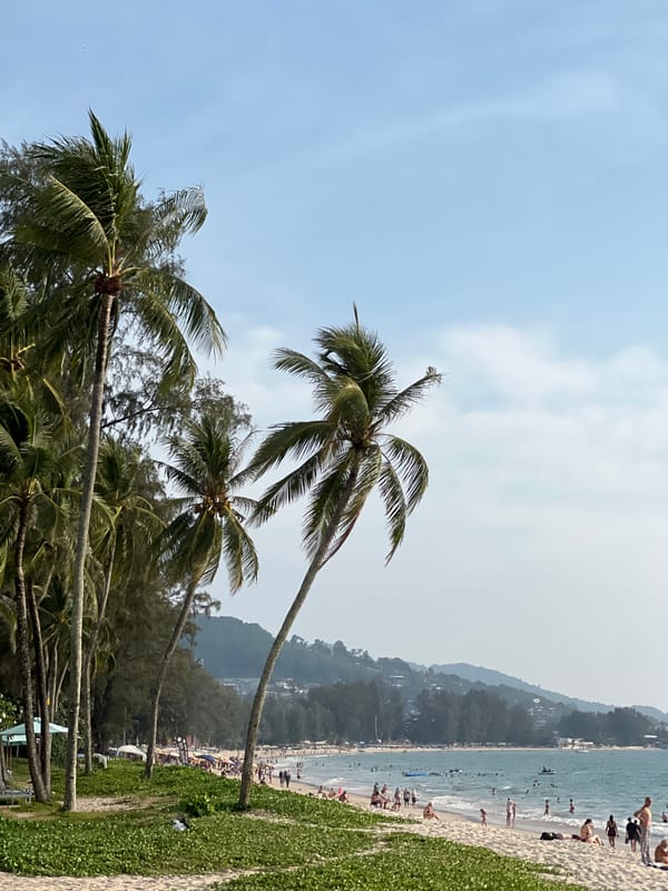 Coastal palm trees observed under cloudy skies in Thailand