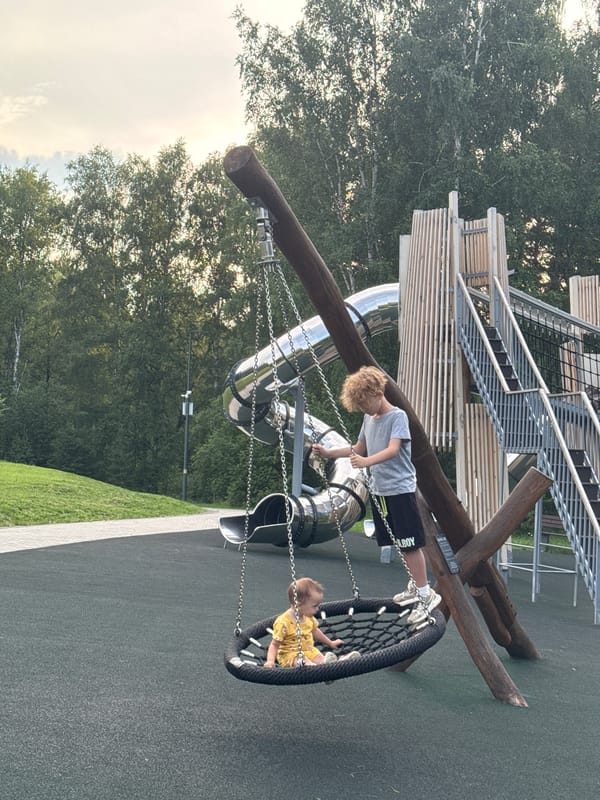 Natural wood playground backed by forest, Krasnoyarsk