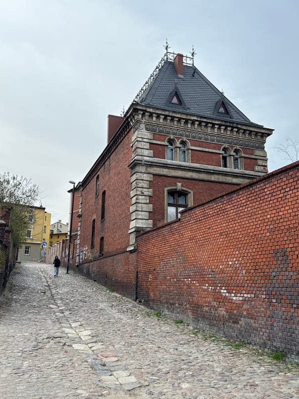 Tourist documents afternoon walk through Bydgoszcz during medical conference