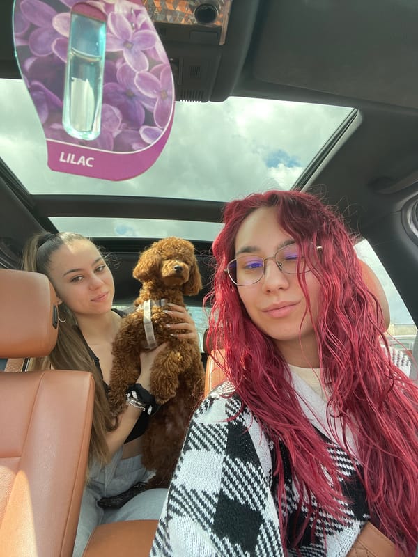 Two women, poodle travel together in car in Pleven