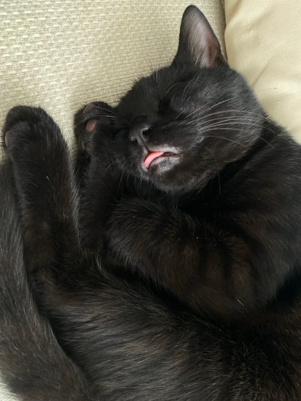 Aerial acrobatics show draws packed crowd in Chaikovsky theater