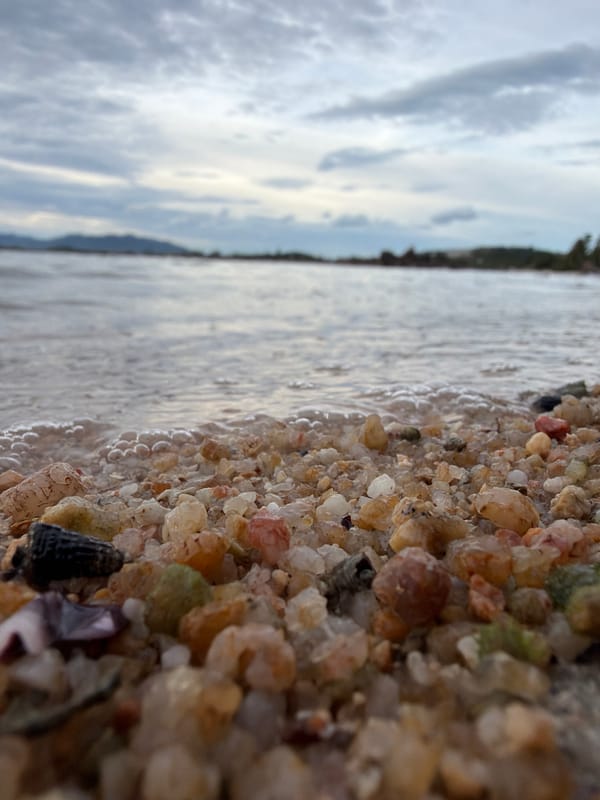 Close-up details of shells and pebbles on a Ko Samui shoreline