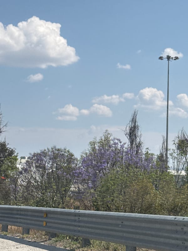 Clear skies observed in San Bernardino Tlaxcalancingo, Mexico