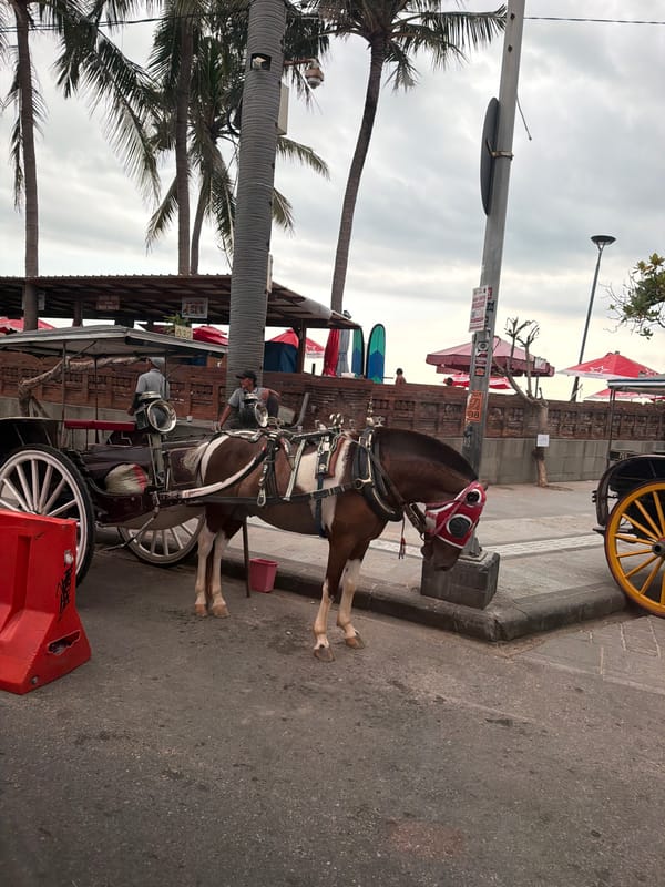 Horse carriage spotted near traditional Balinese gate in Kuta