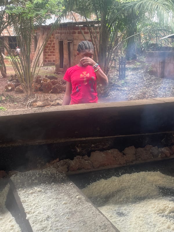Daily cooking activities documented in rural Eke, Nigeria