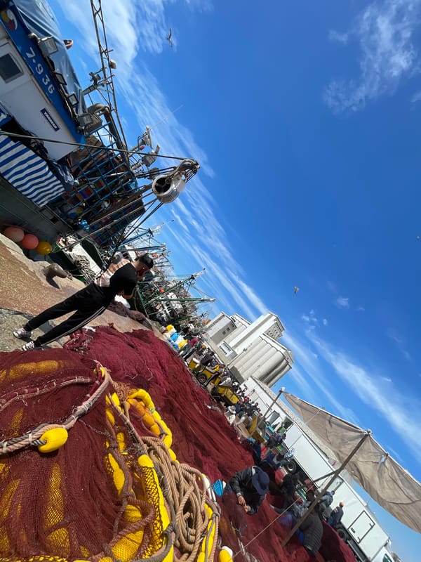 Person stands near fishing nets at Safi port dock