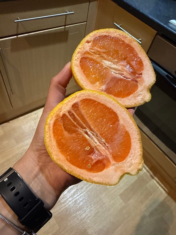 Person holds halved grapefruit indoors in Great Yarmouth
