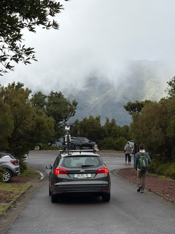 Morning fog and forest walks documented in Porto Moniz