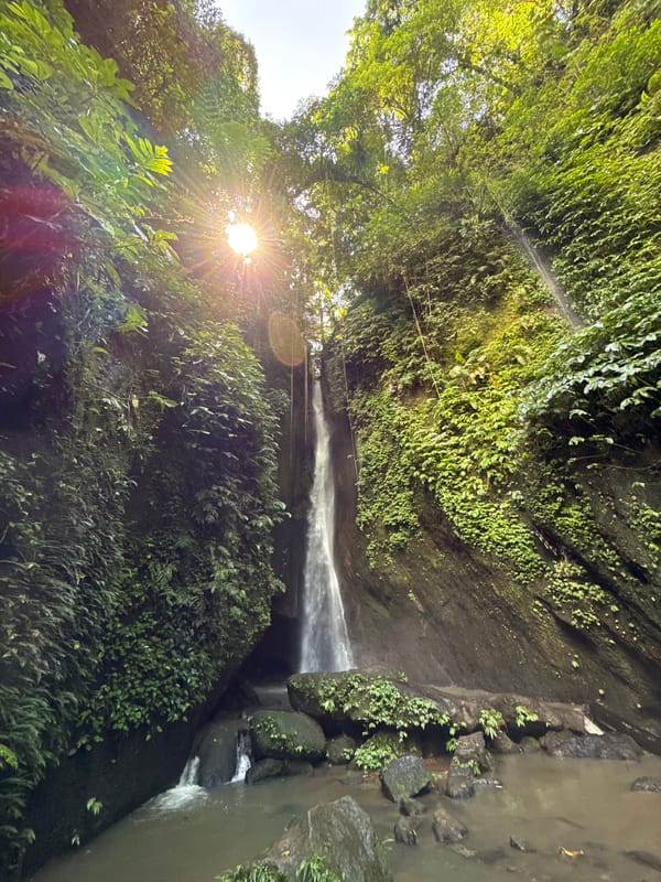 Waterfall documented cascading through lush rocky ravine