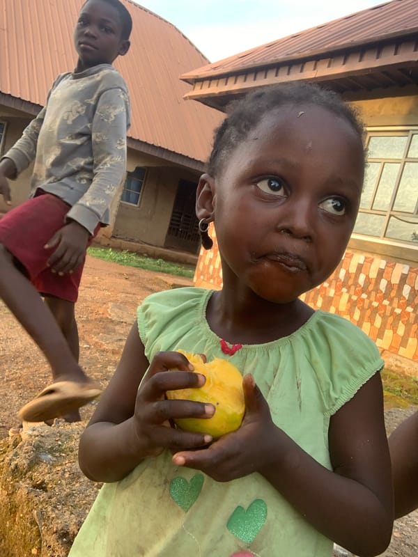 Community mango harvest observed in Agban, Nigeria