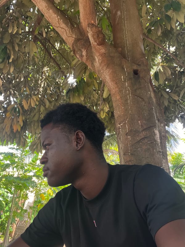 Young people gather under trees in Badagry, Nigeria