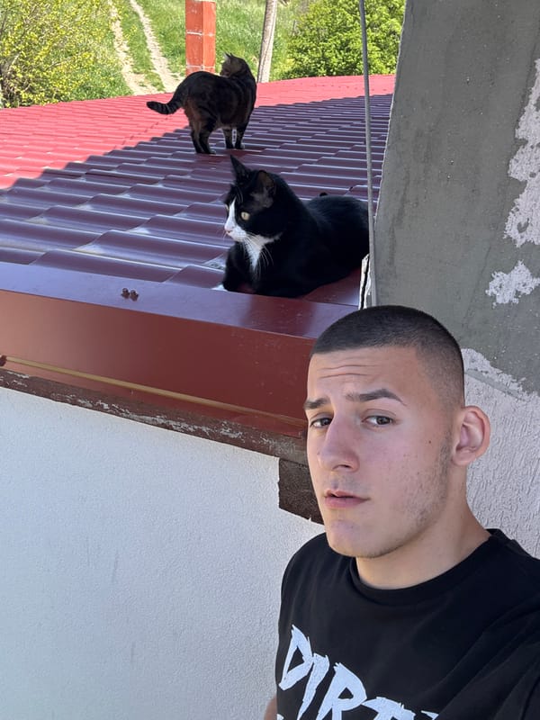 Man poses with two cats on rooftop in Goritsa