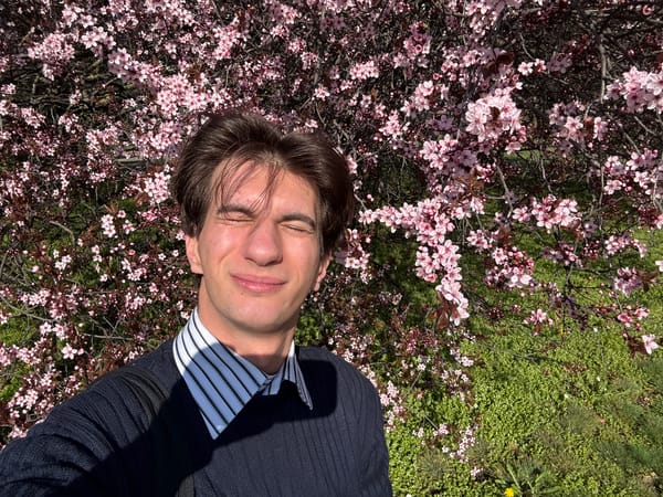 Man rests under blooming trees in Sofia spring morning