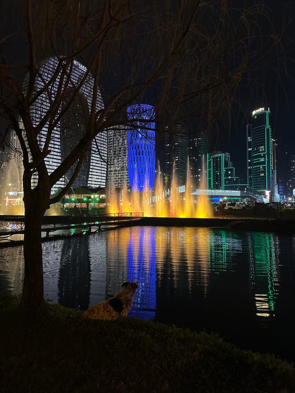 Illuminated modern architecture captured at night in Batumi, Georgia