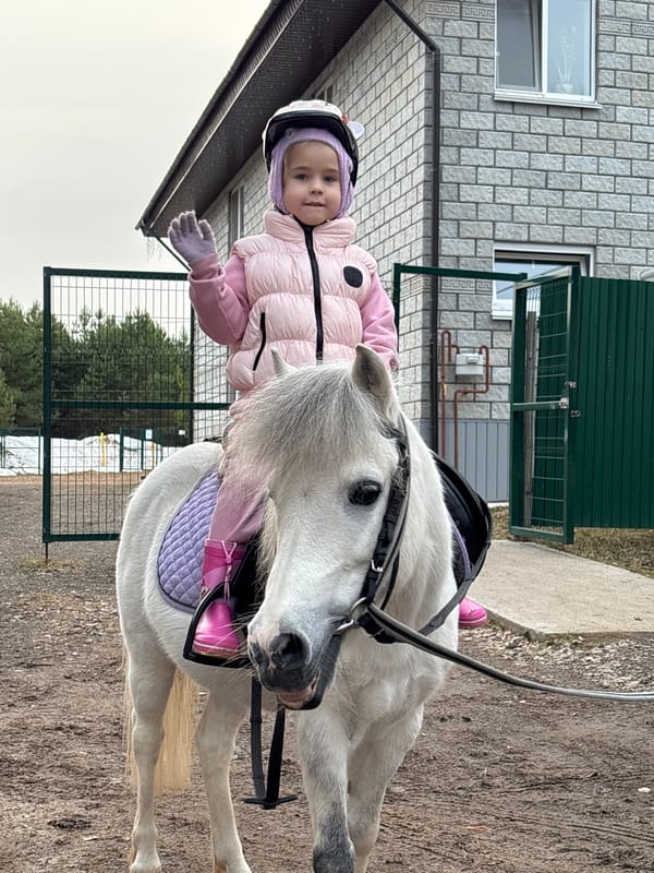 Horse in paddock, woman resting observed in rural Russia