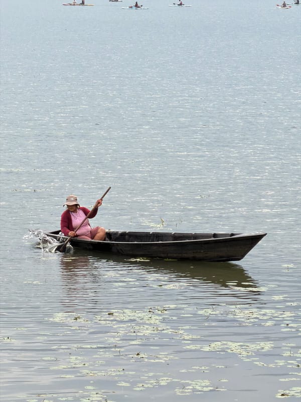 Morning scenes from Pokhara: lake boating, lakeside moments, digital work