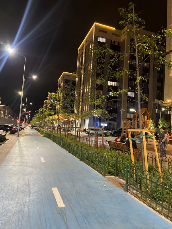 Almaty neighborhood at night: bike paths, blooms, and golden lights