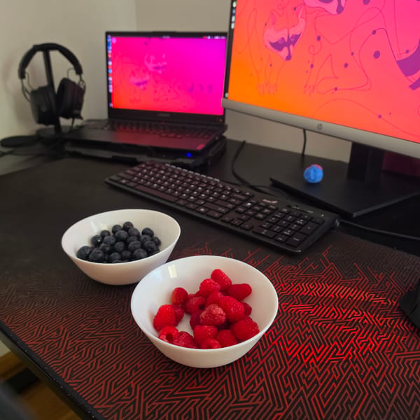 Desk workspace with white bowls documented in Podgorica