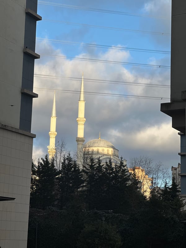 Woman documents afternoon routine across Istanbul neighborhoods