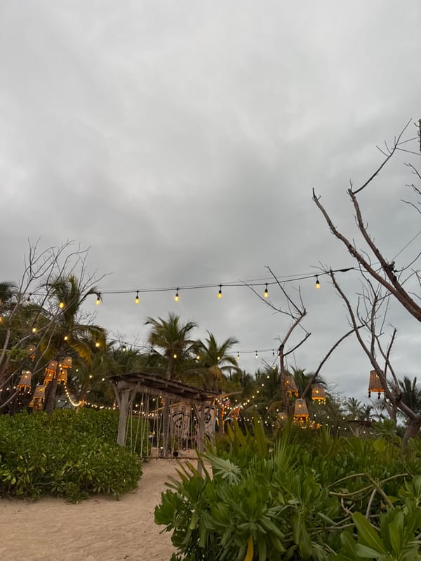 Resort scenes captured in Mexico's tropical coastal area
