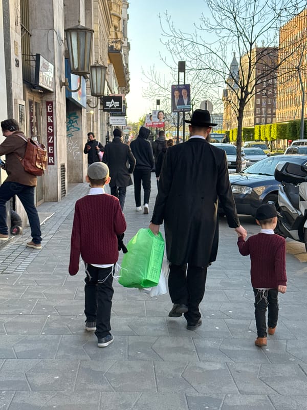 Orthodox Jewish group walks Budapest streets near city center