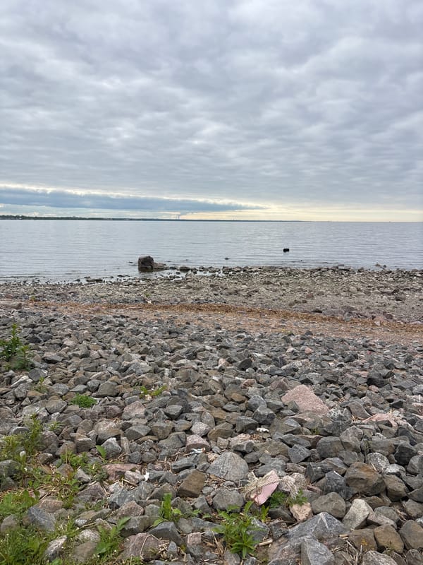 Quiet afternoon documented along Saint Petersburg's Gulf of Finland waterfront
