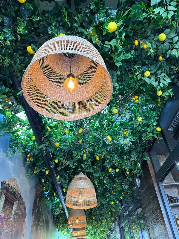 Women dine under artificial lemon canopy in Burgas restaurant
