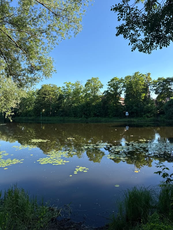 Sunny afternoon along Rathenow's canals, parks, and gardens