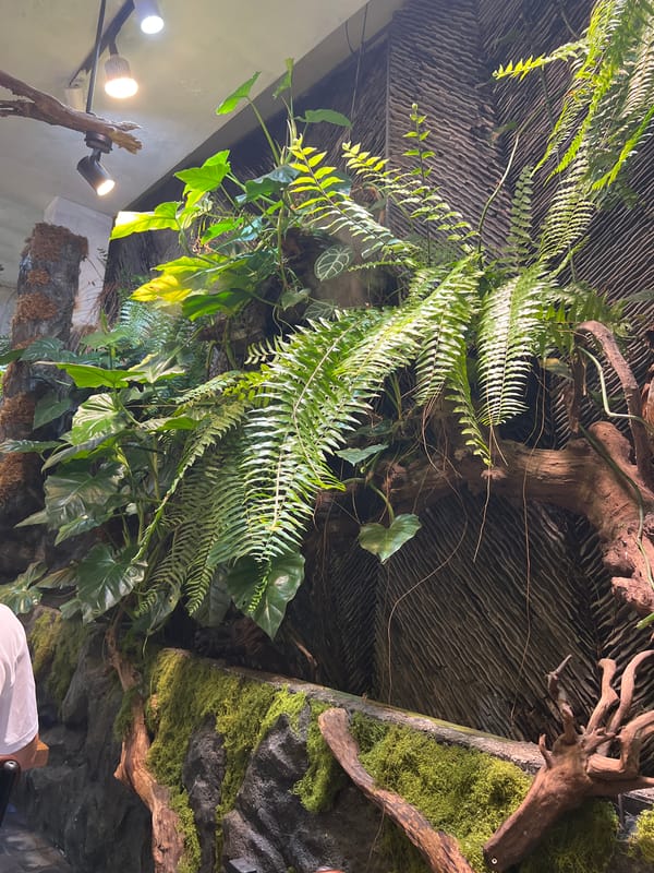 Early morning breakfast documented at Nha Trang restaurant