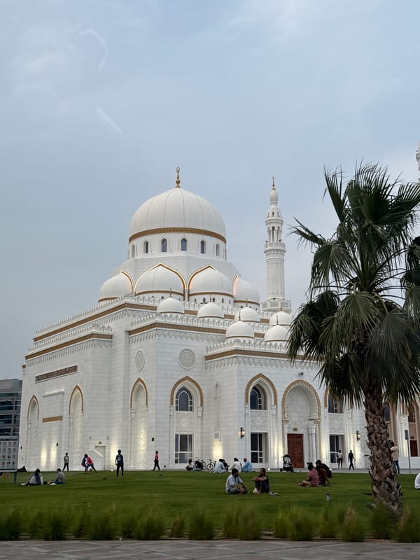 Jumeirah Mosque documented in Dubai