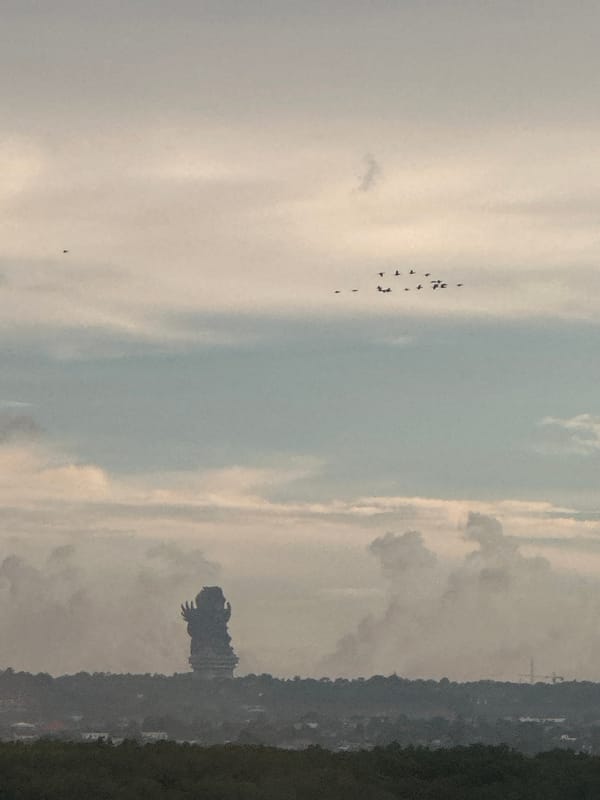Birds photographed flying over Garuda Wisnu Kencana statue, Nusa Dua