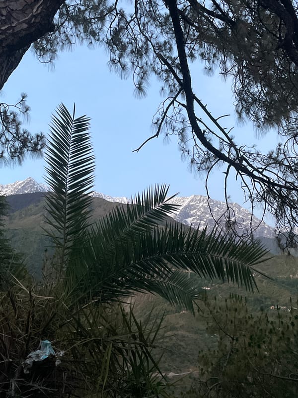 Mountain views documented in Dharamshala showing snow peaks, vegetation