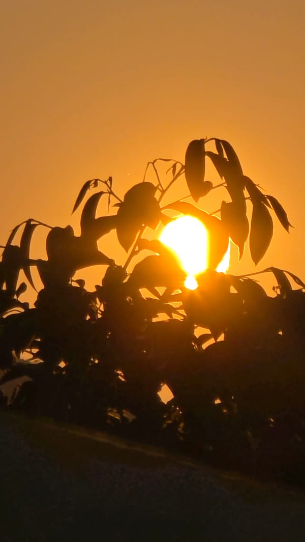 Hazy sunset captured at Vietnam heritage area