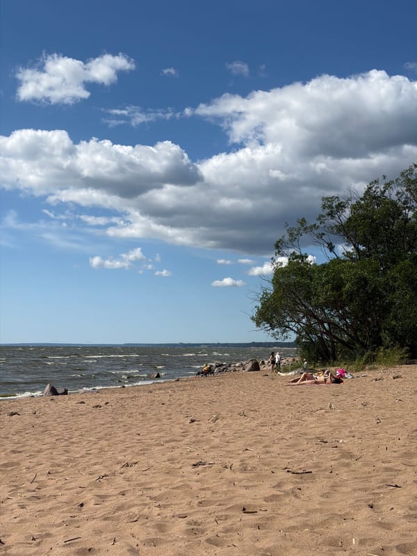 Relaxed afternoon on Repino's Gulf of Finland beach