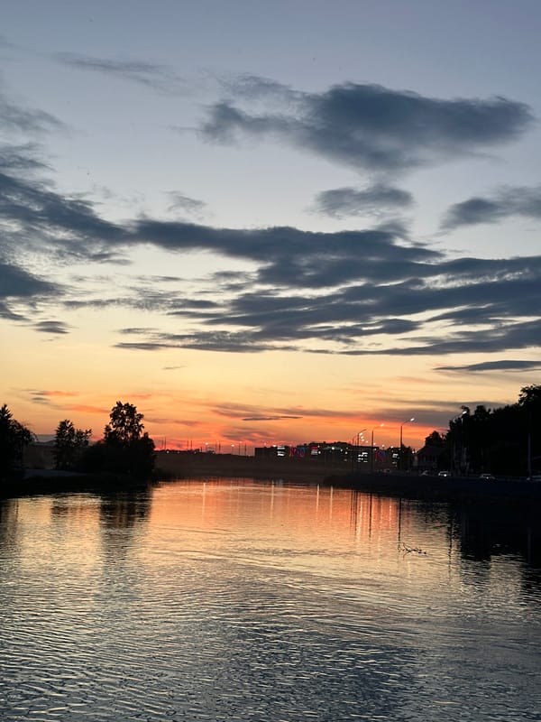 Evening waterfront hangout in Irkutsk with dogs and sunset views