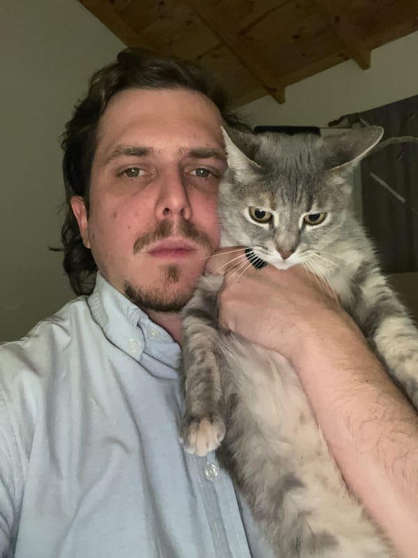 Man takes indoor selfie with gray tabby cat in Ushuaia