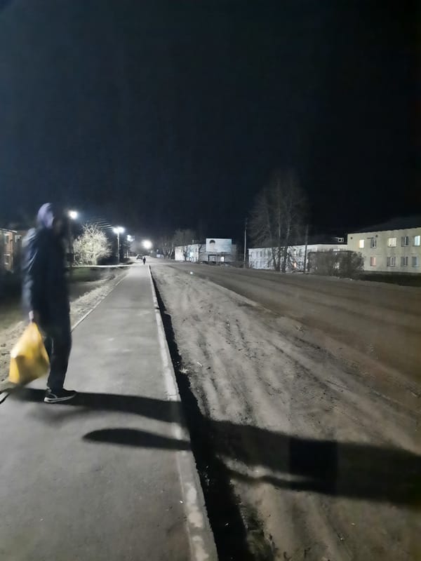 Evening pedestrian activity observed in Krasnogorskoye residential area