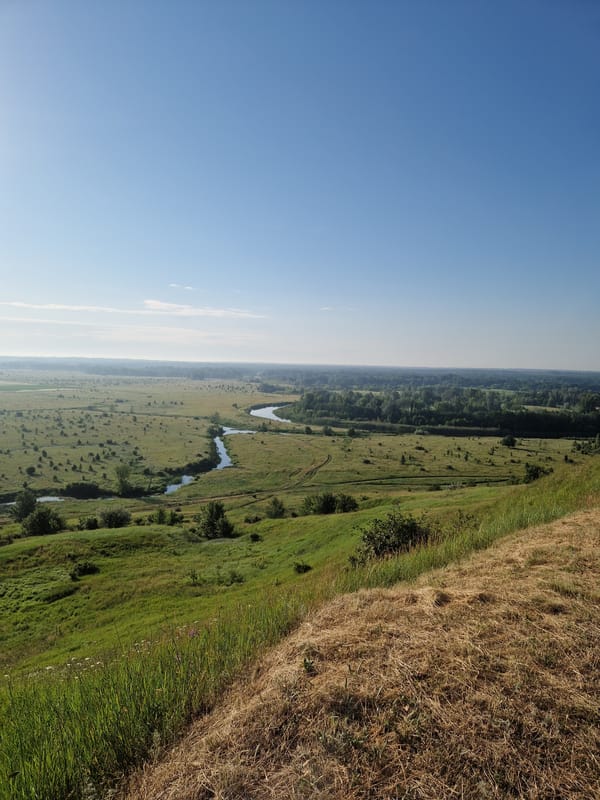 Rural sunflower fields and hillsides documented in 30 memories