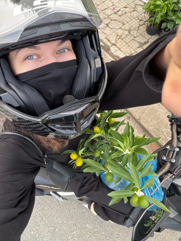 Masked motorcyclist takes selfie while transporting plant in Đà Nẵng