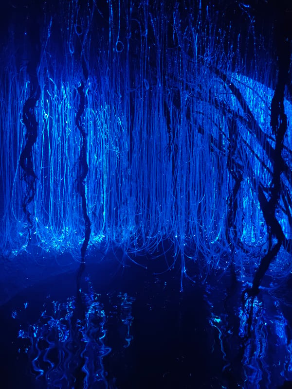 Glowing jellyfish and light installations at night in Đà Nẵng