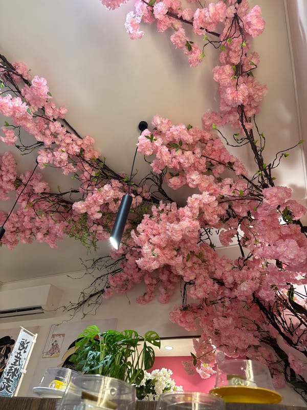 Lunch at a Japanese-themed spot in Yerevan