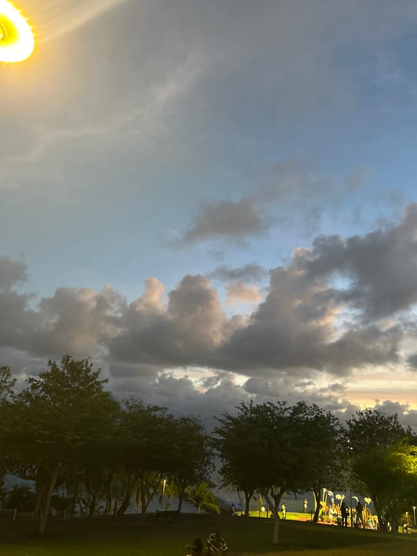 Evening nature scenes captured in urban park setting