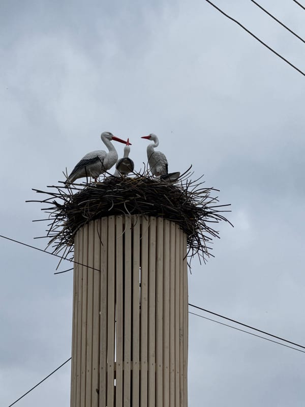 Storks nest among summer preparations in Votkinsk, Russia