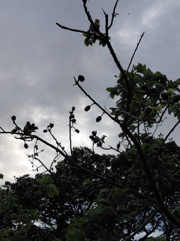 Evening Documentation of Daily Life in Santa Ana, Venezuela