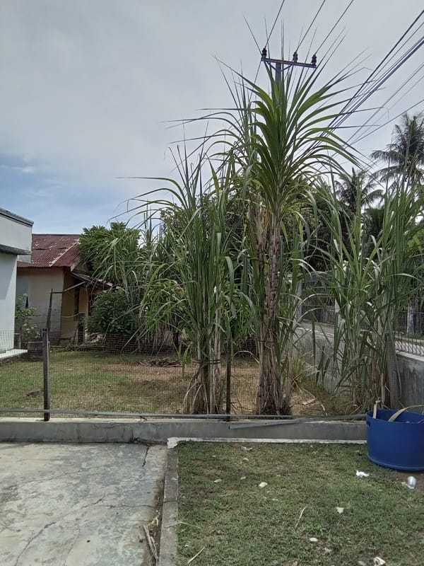 Early morning documentation of urban scenes in Lhokseumawe