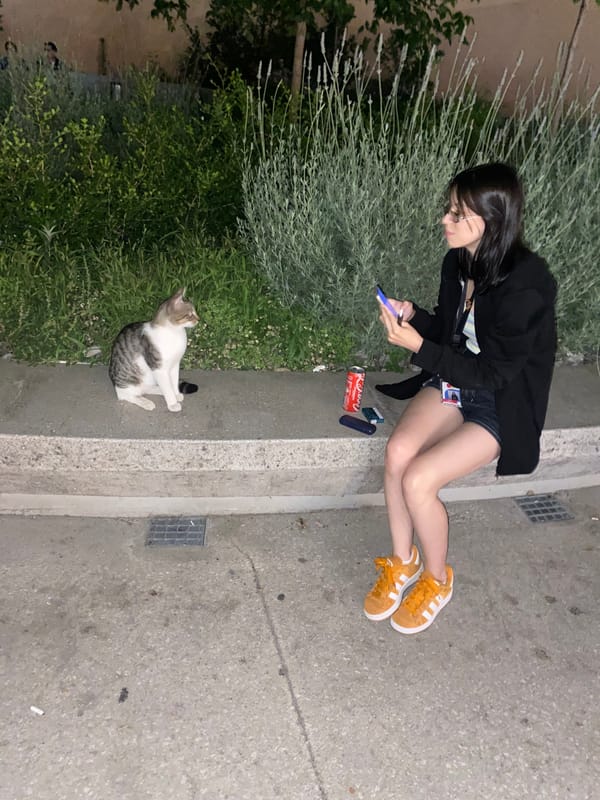 A quiet June evening around a Thessaloniki courtyard, cats included