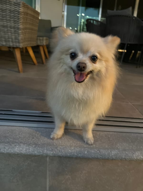 Late-night glimpses of daily life in Cholula, Mexico